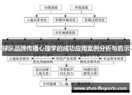 球队品牌传播心理学的成功应用案例分析与启示