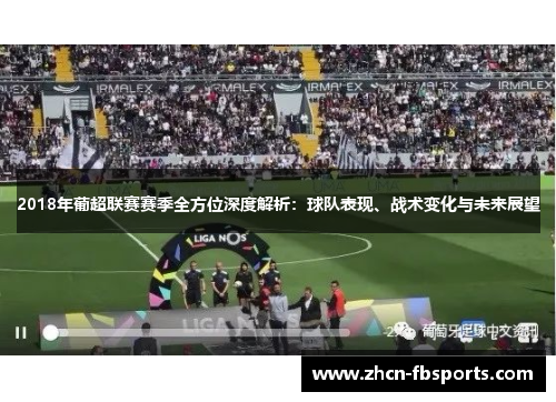 2018年葡超联赛赛季全方位深度解析：球队表现、战术变化与未来展望