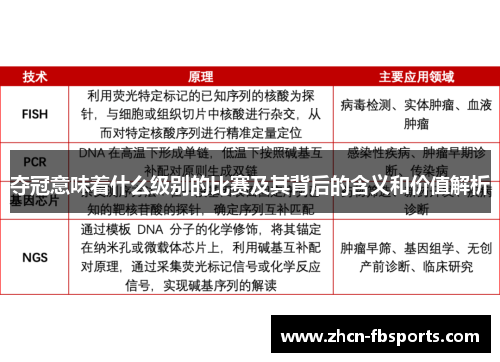 夺冠意味着什么级别的比赛及其背后的含义和价值解析